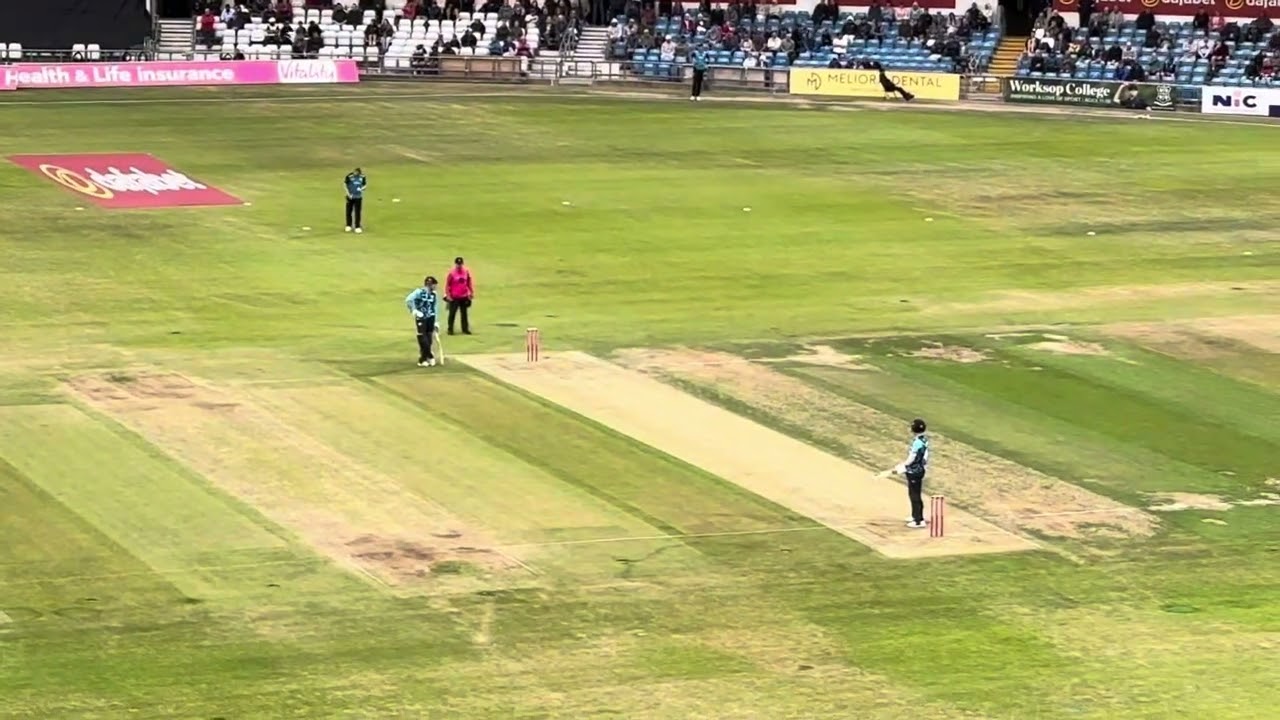 Yorkshire Vikings v Worcestershire Rapids