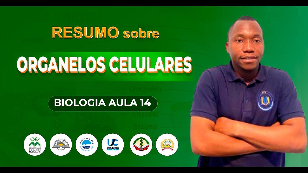 ORGANELOS CELULARES E SUAS FUNÇÕES 🧬
