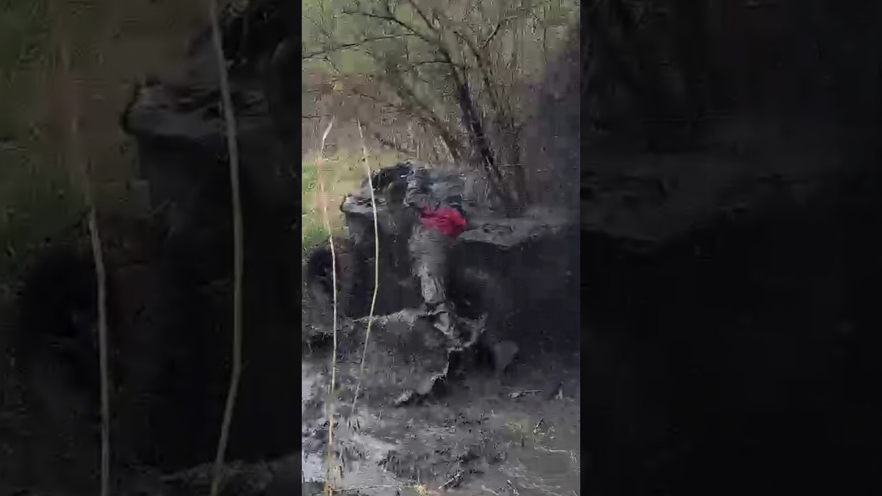+18 на бензине! #atv #offroad #mud #atvlife #набензине