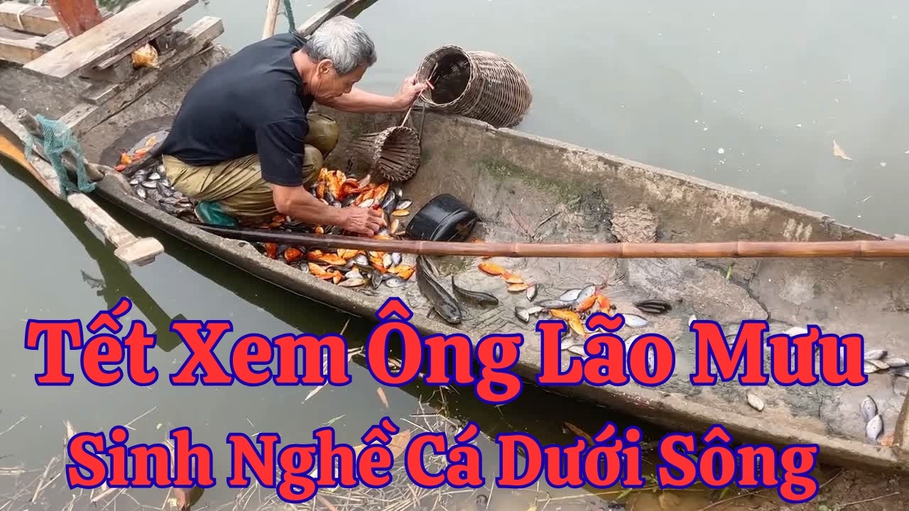 Mồng 2 Tết Xem Ông Bác Đã Phải Làm Mưu Sinh Đổ Lưới Nhiều Các Loại Cá Ngon