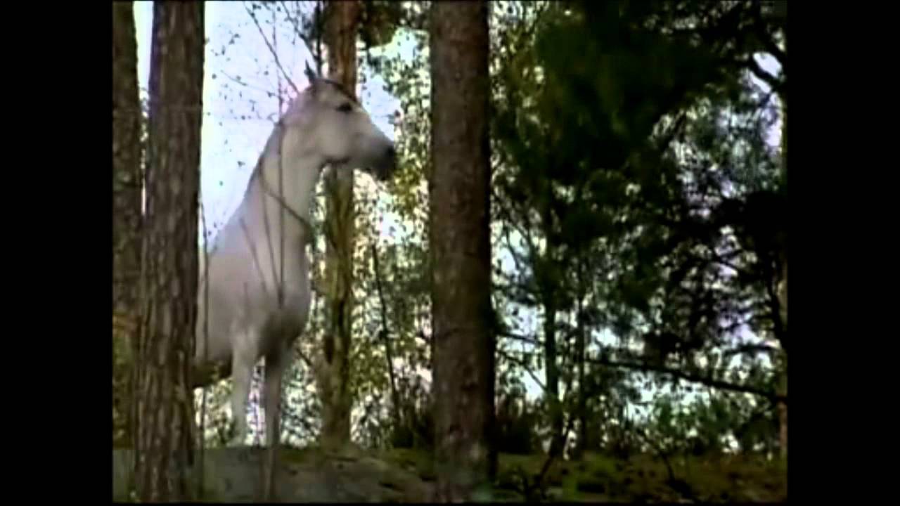 A thousand years of horses.wmv