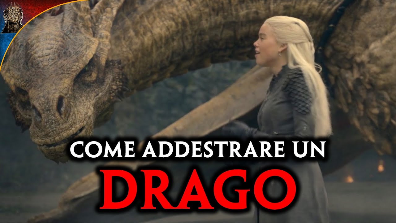 Come ADDESTRARE un DRAGO