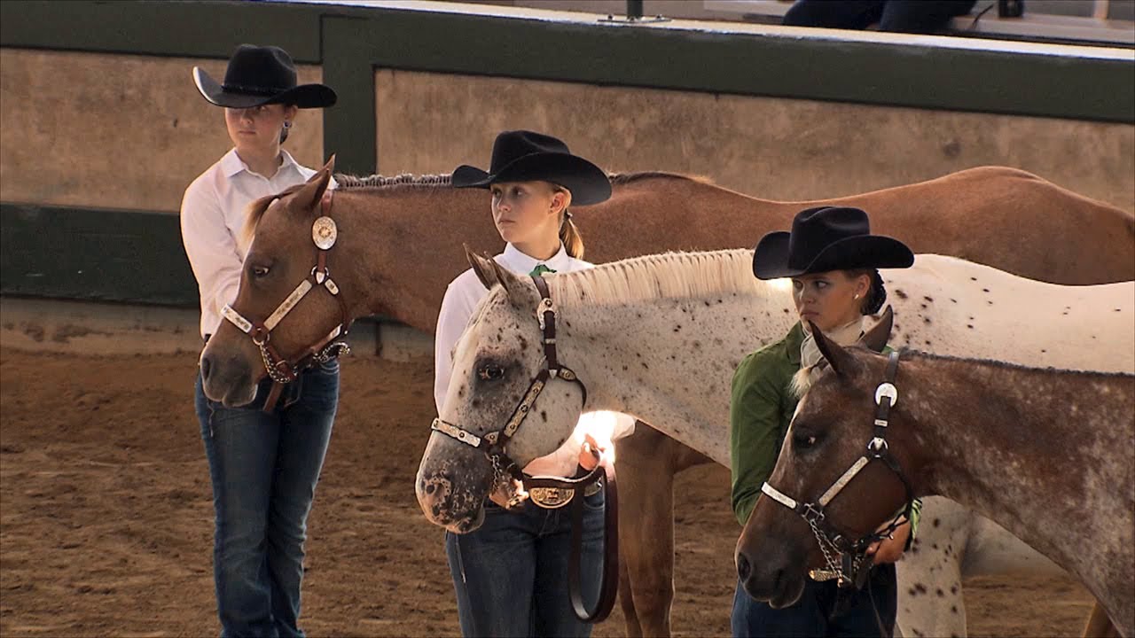 4H Horses | Iowa State Fair 2013