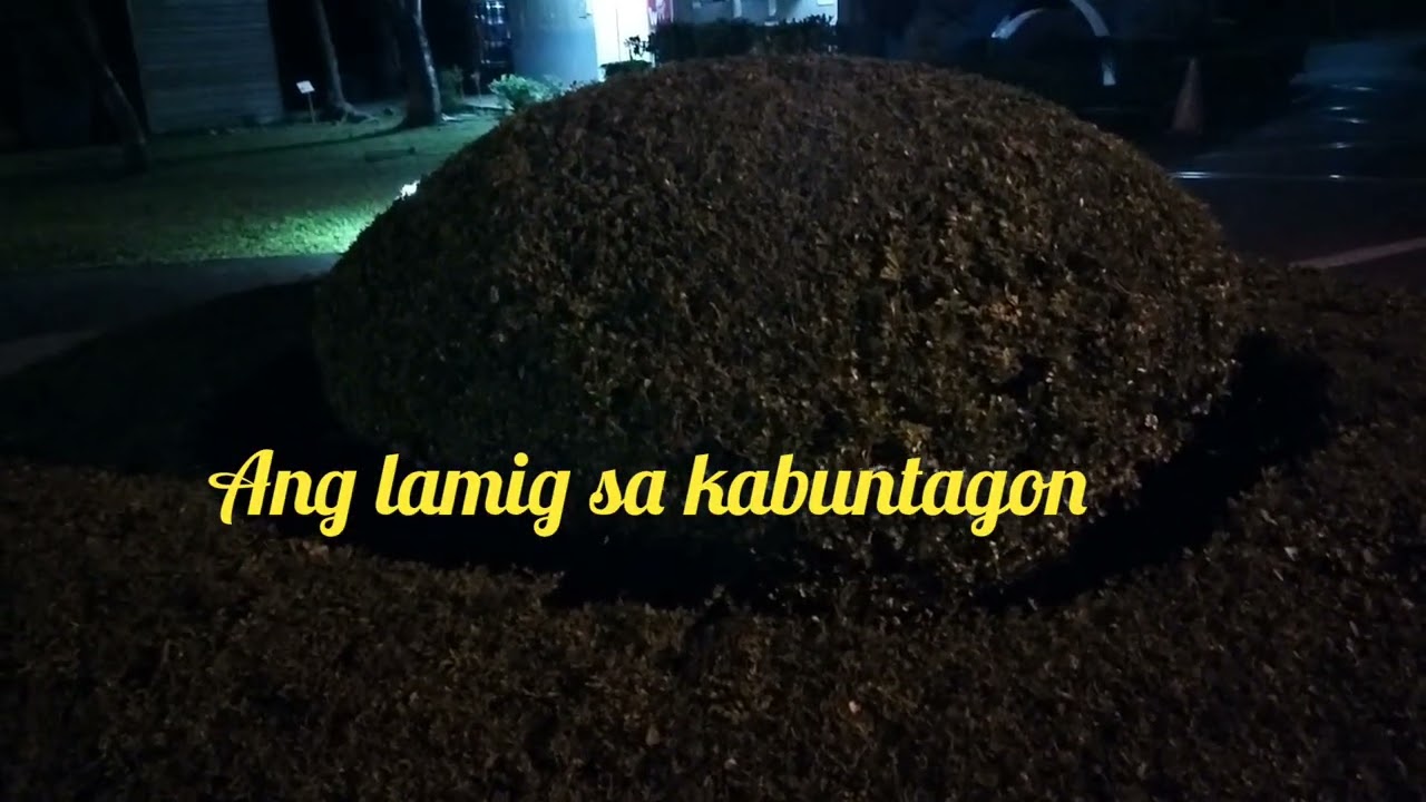 WALKING FIRST DAY OF  JANUARY 2026 SUPER LAMIG 