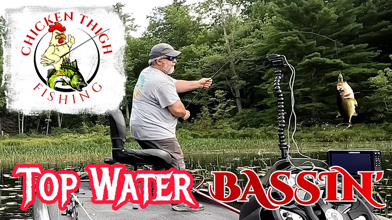 Top Water Bass Fishing on the Molix Supernato Frog #topwaterbassfishing #bassfishing #largemouth