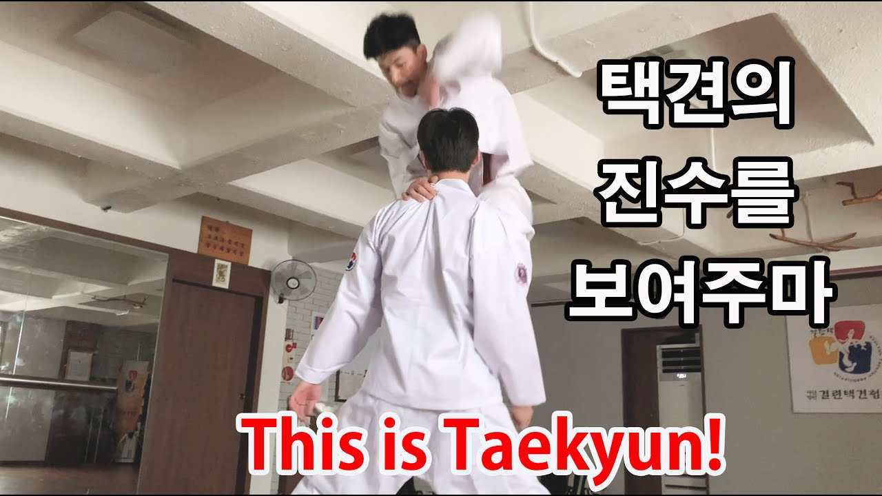 누가 우리의 택견을 우습다 하는가? 택견의 진수를 보여주마!