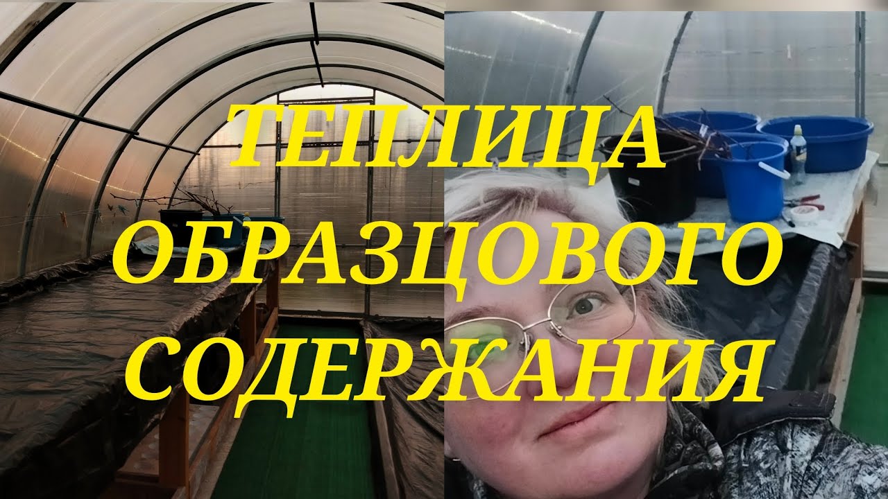 Тепличный марафет. Командирша. Снт Утиный рай.