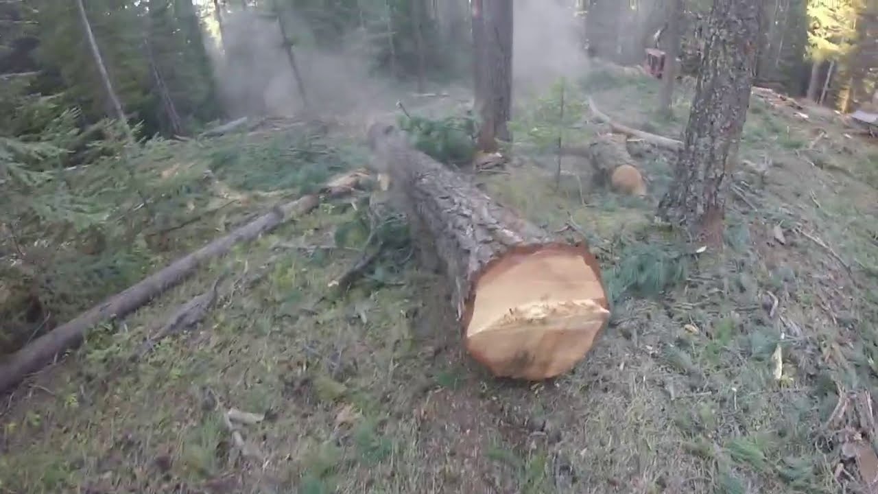 Multitasking Stihl 500i - Falling, Limbing, Bucking, Reaming, And Saving The Day On The Landing!