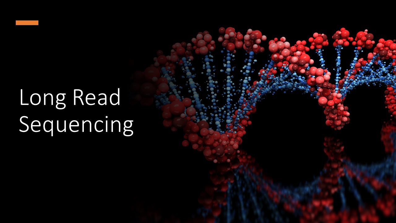 Long Read Sequencing