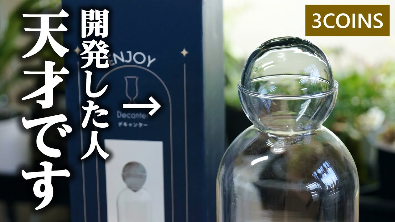 スリコで”最高のお洒落アイテム”をゲットしたので、観葉植物に使ってみた結果…！【エアプランツ】