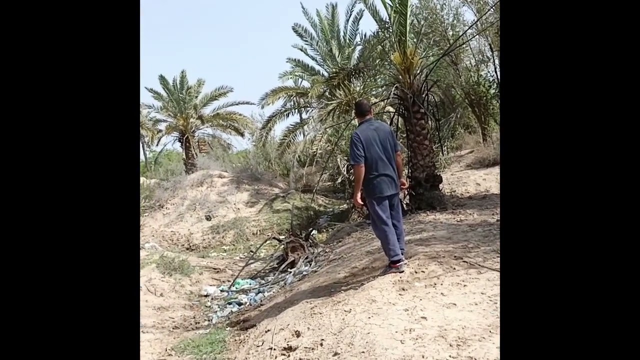 صيد بلبل في الفو /20/24/3/28/