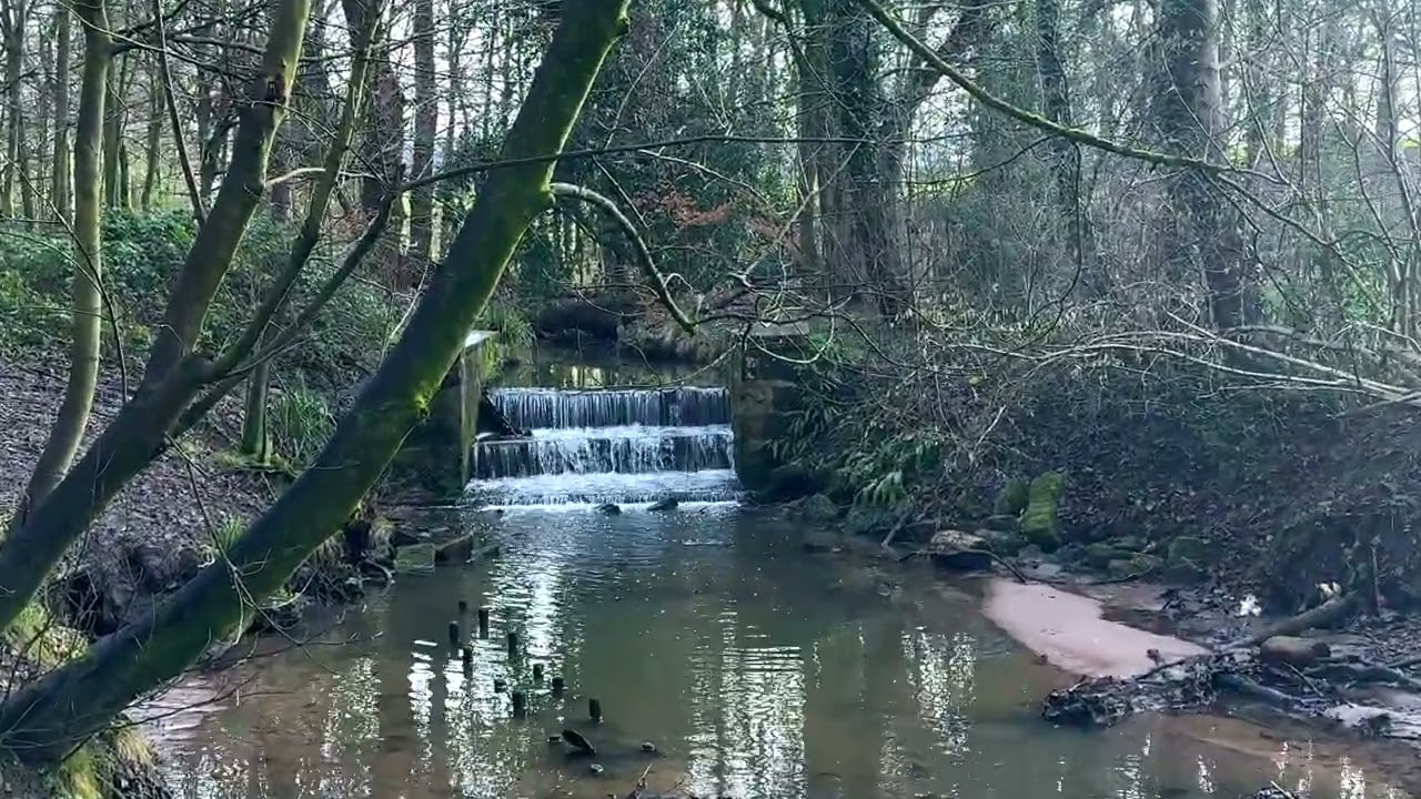 A Walk Around Worden Park Leyland.