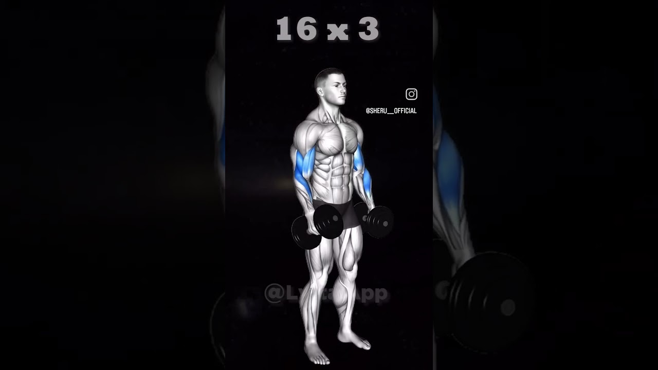 Best Biceps Curl Form #bicepscurl  #bicepsworkout #youtube #fitness #viral #growbiceps #gym #fitnes