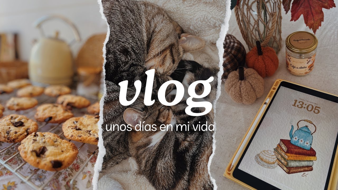 Unos días conmigo 🍪 Cookies y Limpieza profunda