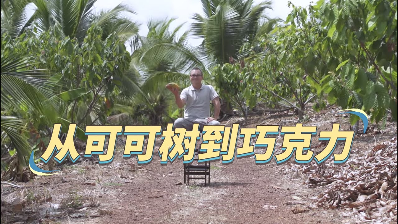 【生产者 Food Producers S2】探秘巧克力的起源：从可可树到千种美味的神奇旅程