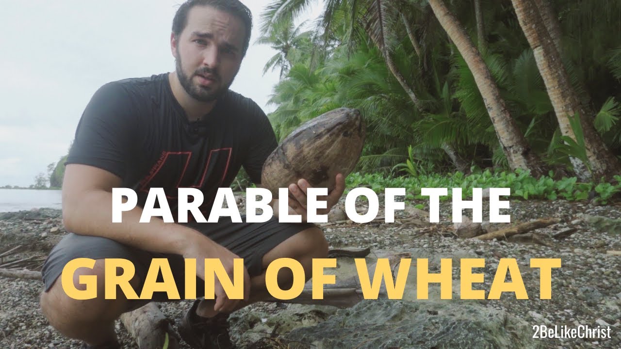Parable of the Grain of Wheat Explained! - John 12:24 - 2BeLikeChrist