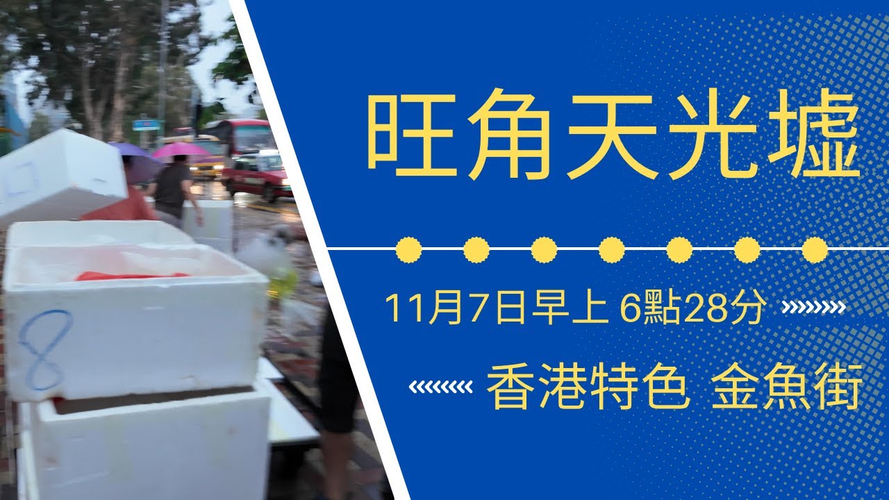 香港特色｜旺角金魚街早晨實拍｜天光墟魚檔開檔日常｜6點28分早市風情｜假日好去處【廣東話｜中文字幕】