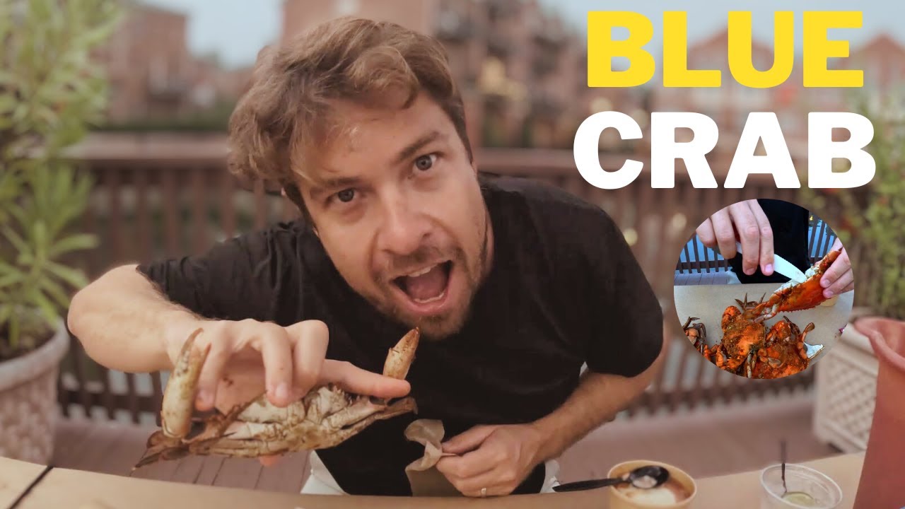 Famous BLUE CRAB in Baltimore, Maryland!