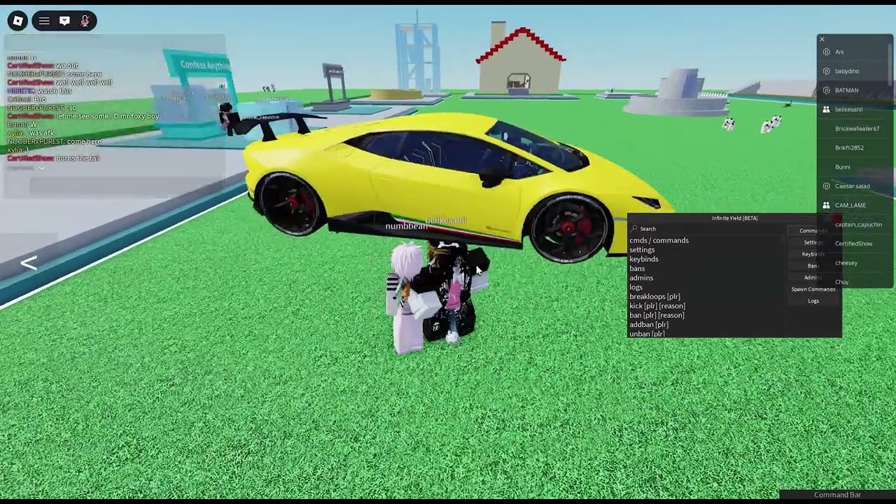 I got access to the roblox Vulnerability..