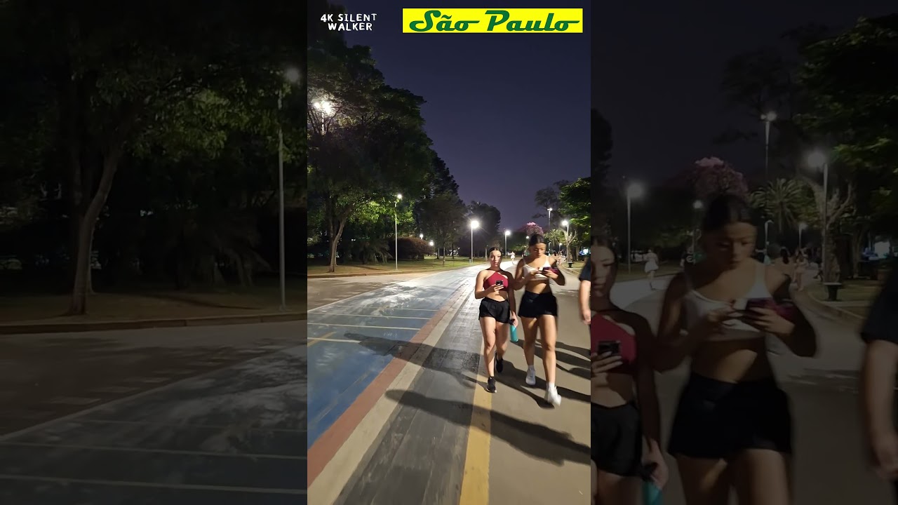 Como &eacute; a noite no Parque Ibirapuera #saopauloape #saopaulowalkingtour #saopaulobynight #cidadedesp