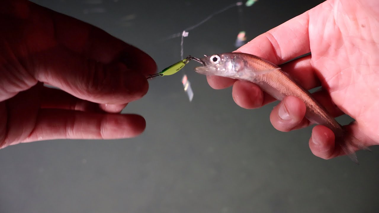 Smelt Fishing Basics (episode 3): Using Jigs Only for Smelt