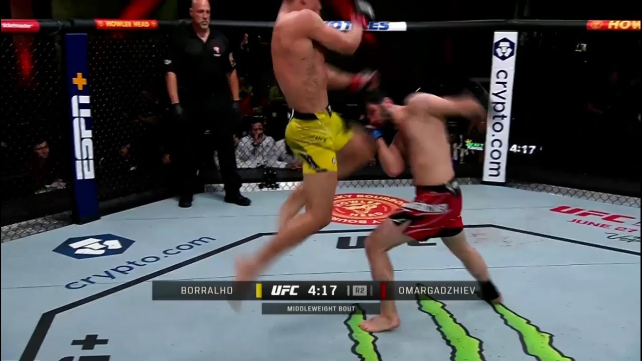 Caio Borralho Best Highlights - UFC Middleweight