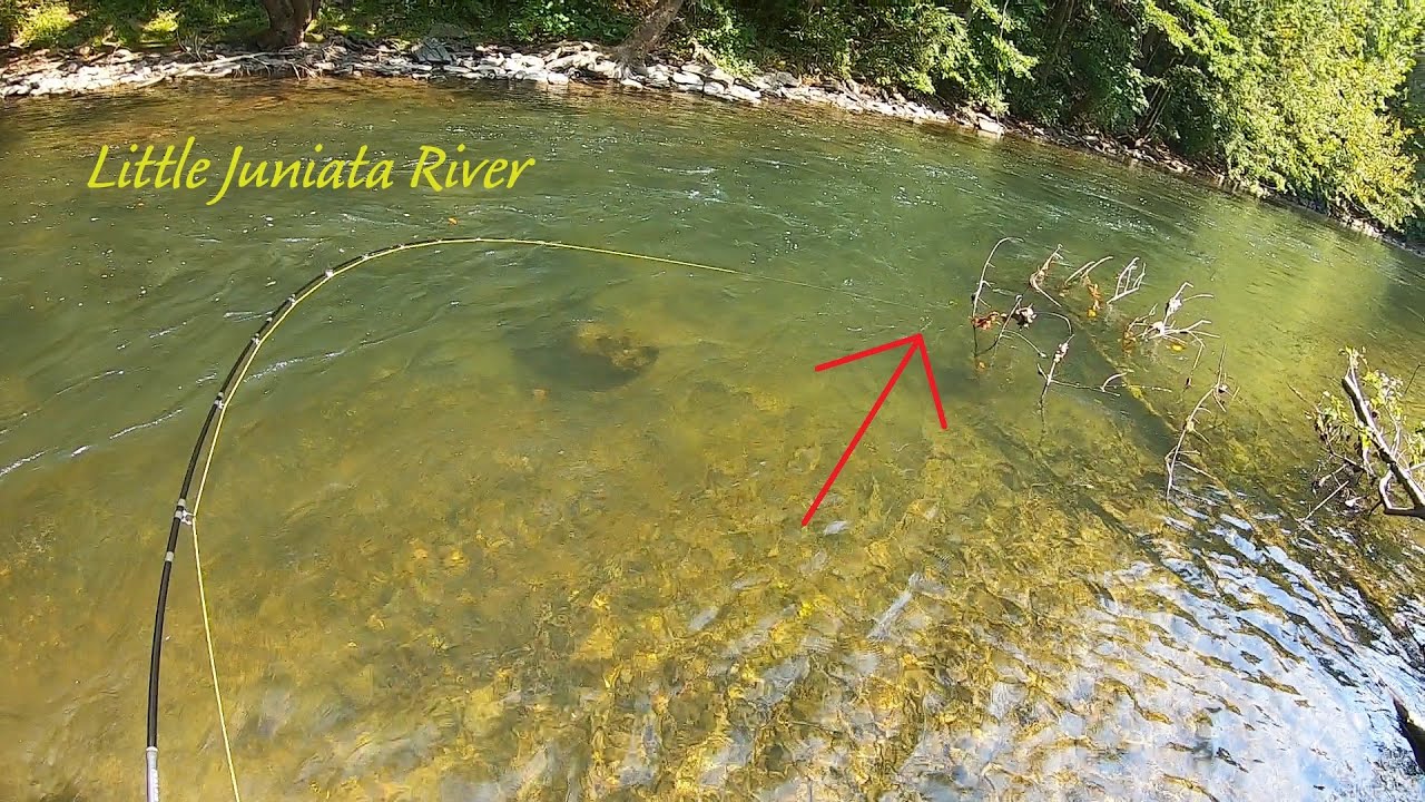 Fly Fishing the LITTLE Juniata River (Dry Dropper Rig)