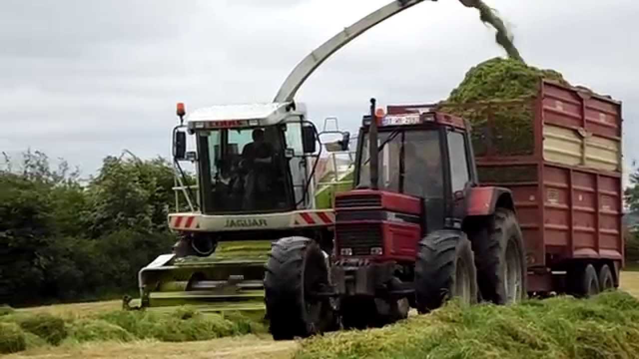 McMahons Claas Jaguar 890 at Silage 2014