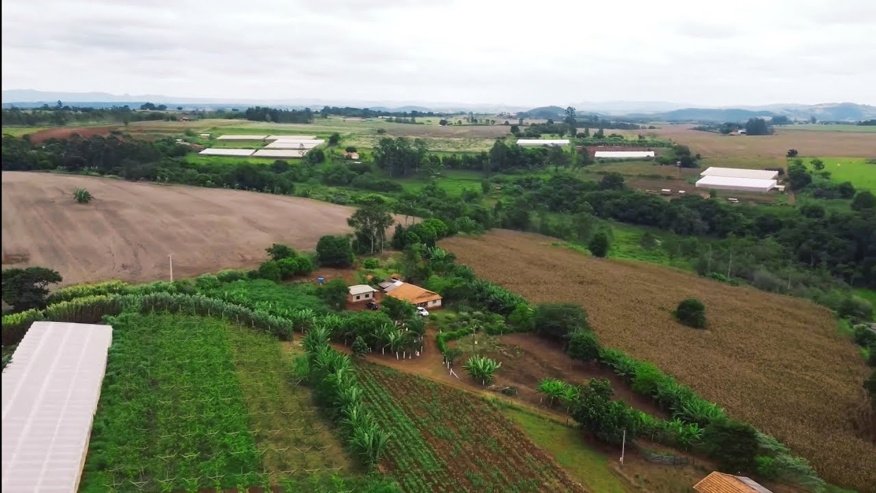 ®CHÁCARA TERRA ROXA 2 CASAS RICA EM ÁGUA COM MUITAS FRUTAS- RECORDAÇÕES SERGIO HENRIQUE