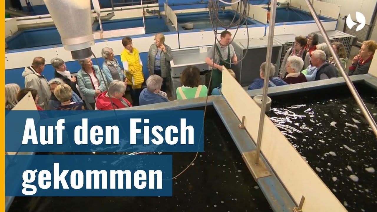 Afrikanische Welse in Franken - Katholischer Frauenbund besucht Fischzucht beim Landwirt