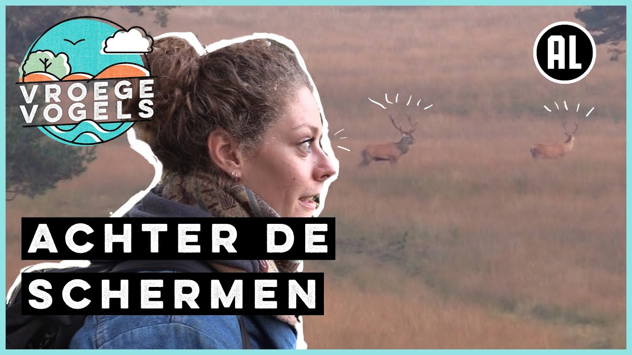 Bronstige edelherten en rottende kadavers | Achter de schermen | Vroege Vogels
