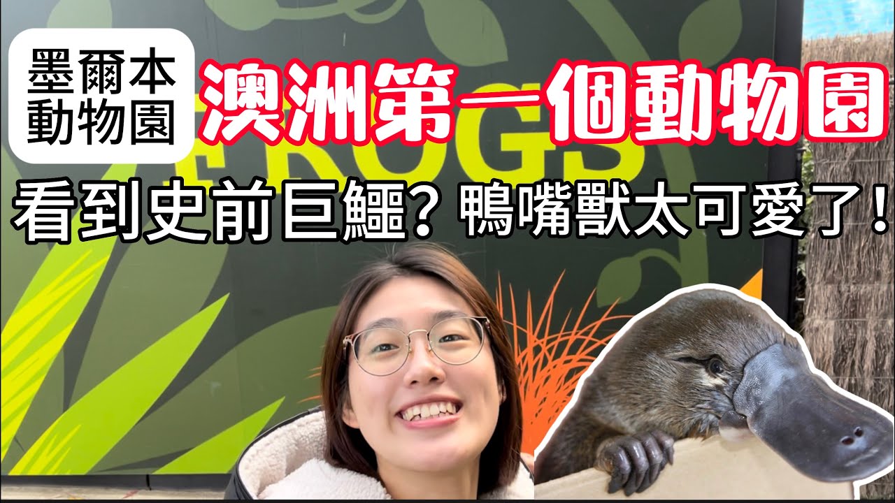 墨爾本動物園！澳洲第一間動物園 鴨嘴獸超可愛 Melbourne Zoo