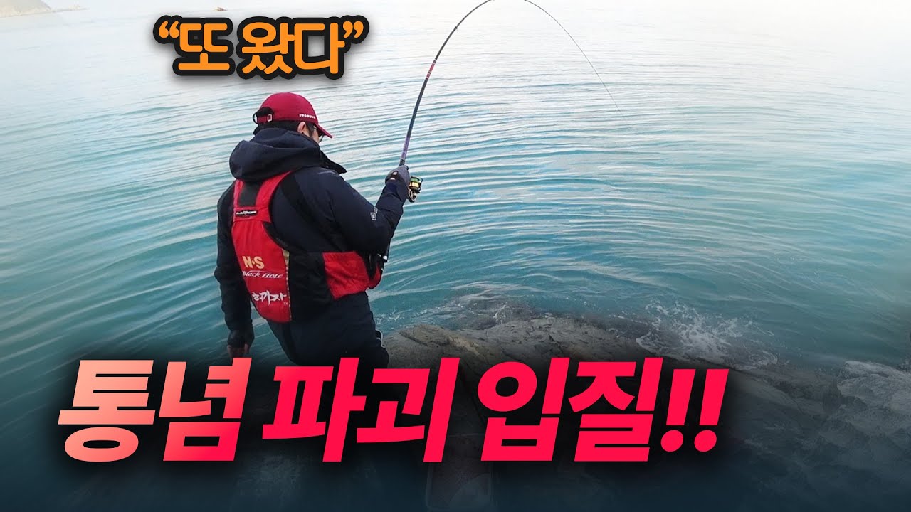 역발상 찌낚시 ... 감성돔 조사님들의 90%가 모르는 포인트 공개!