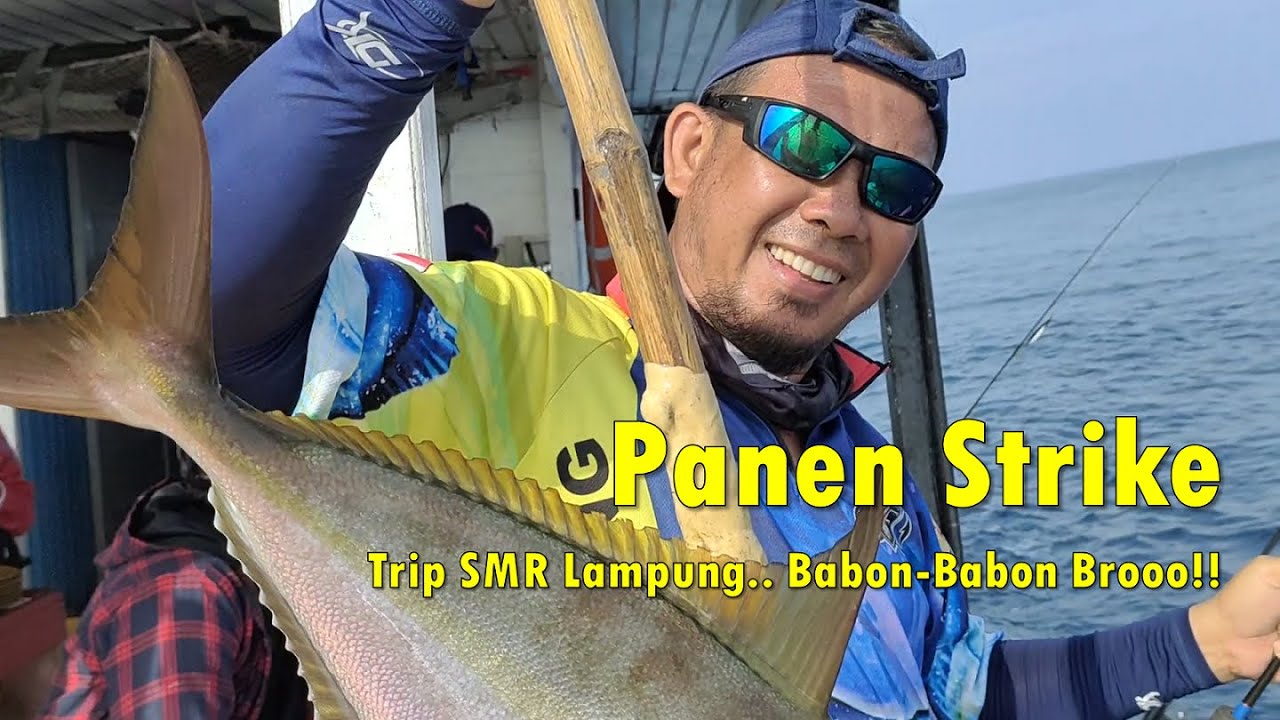 🔴 Panen Strike Trip SMR Lampung, Babon GT dan Amberjack Berhasil Landed Episode 1