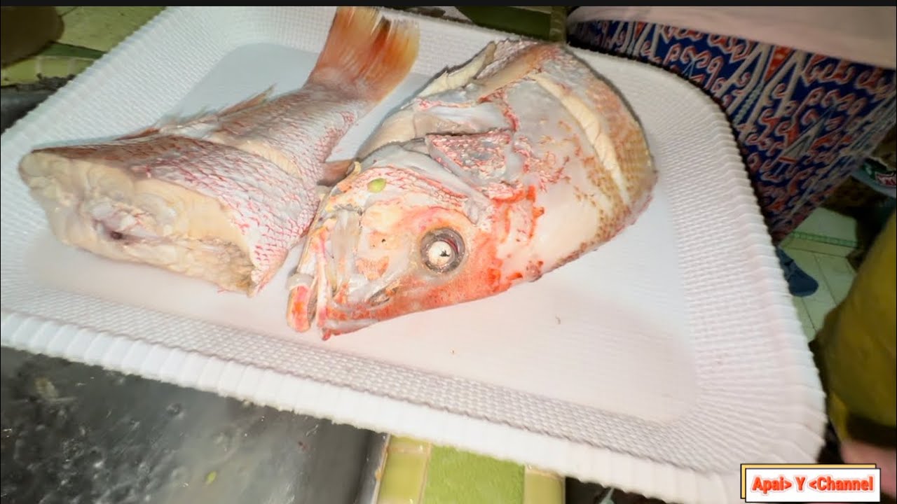 Makan Ikan Merah Membusuk// Makai But Ikan Merah dan BBQ