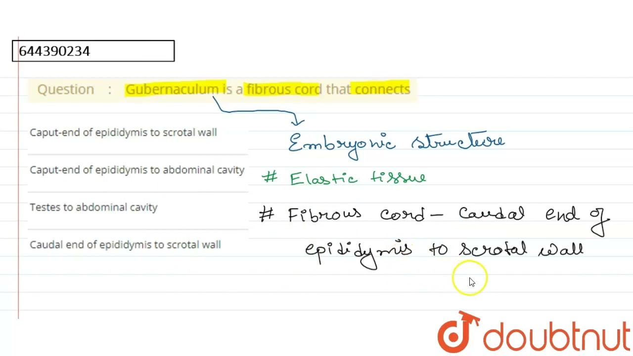 Gubernaculum is a fibrous cord that connects | 12 | Mock test 27 | BIOLOGY | AAKASH INSTITUTE EN...