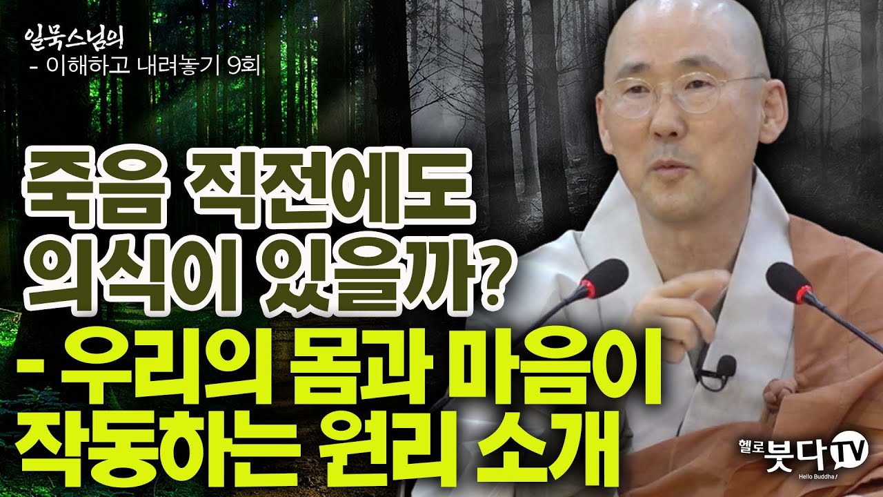 죽음 직전에도 의식이 있을까 우리의 몸과 마음이 작동하는 원리소개 | 일묵 스님의 이해하고 내려놓기 9회(5-1) | 깨달음 수행 불교 마음 팔정도 사성제 죽음 생명 윤회 인생