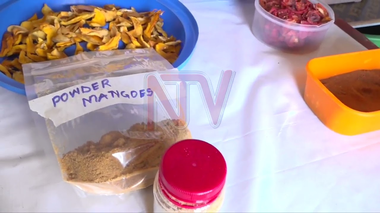 Ugandan school combines hydroponics and sustainability projects