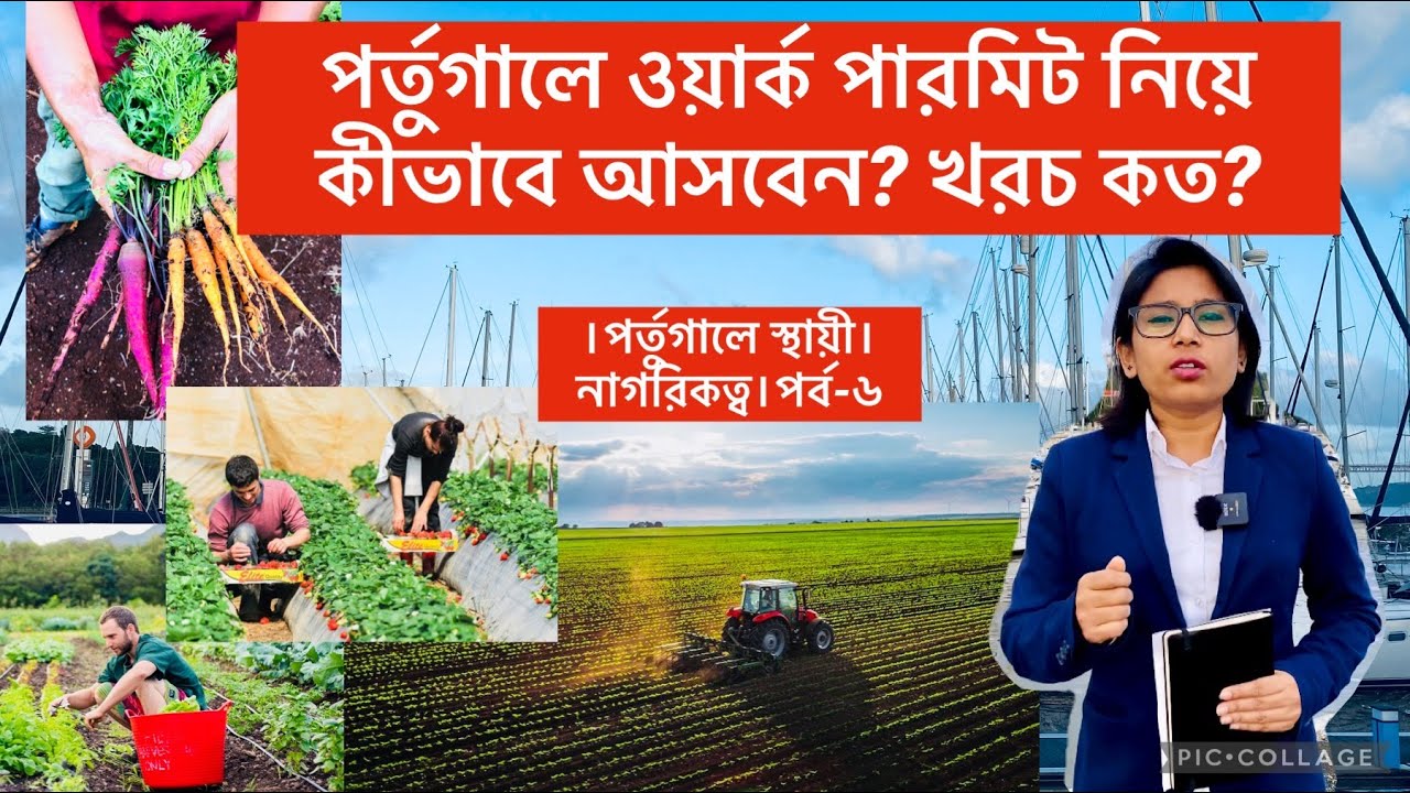পর্তুগালে ওয়ার্ক পারমিট নিয়ে কীভাবে আসবেন, ভিসা প্রসেস ও খরচ কেমন? Portugal Work Permit VISA