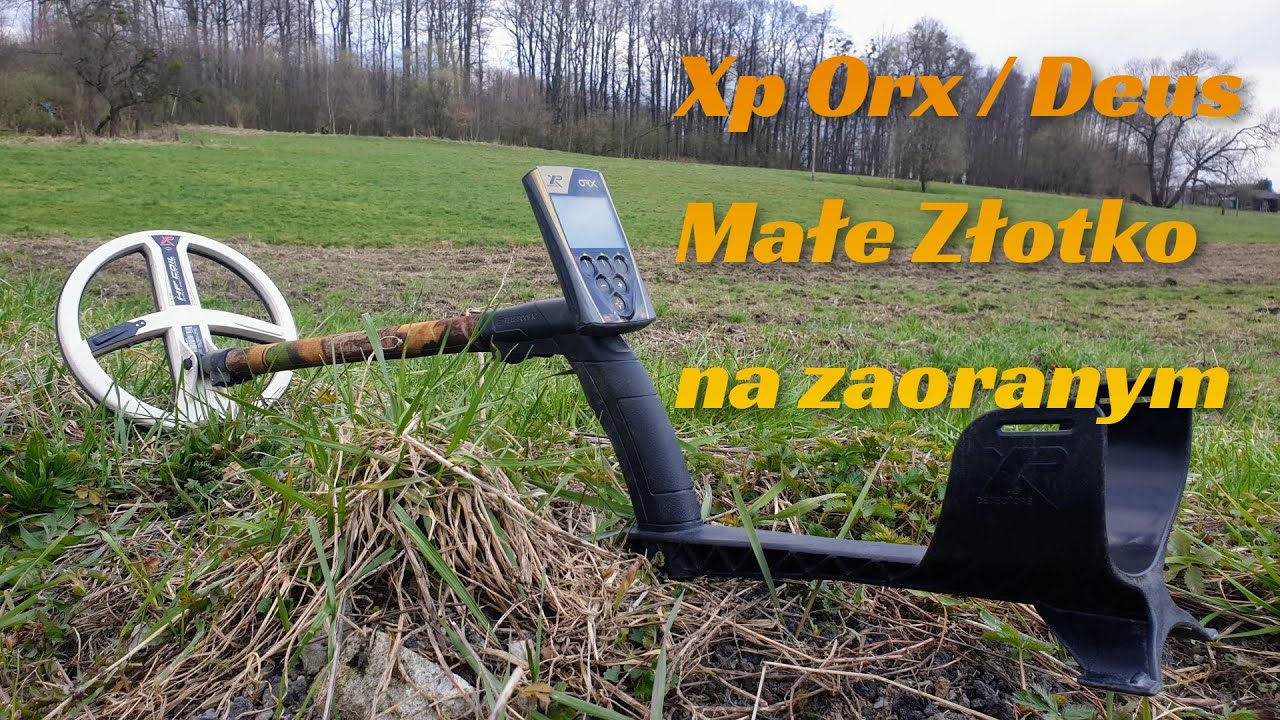 Xp Orx / Deus Małe Złotko na zaoranym
