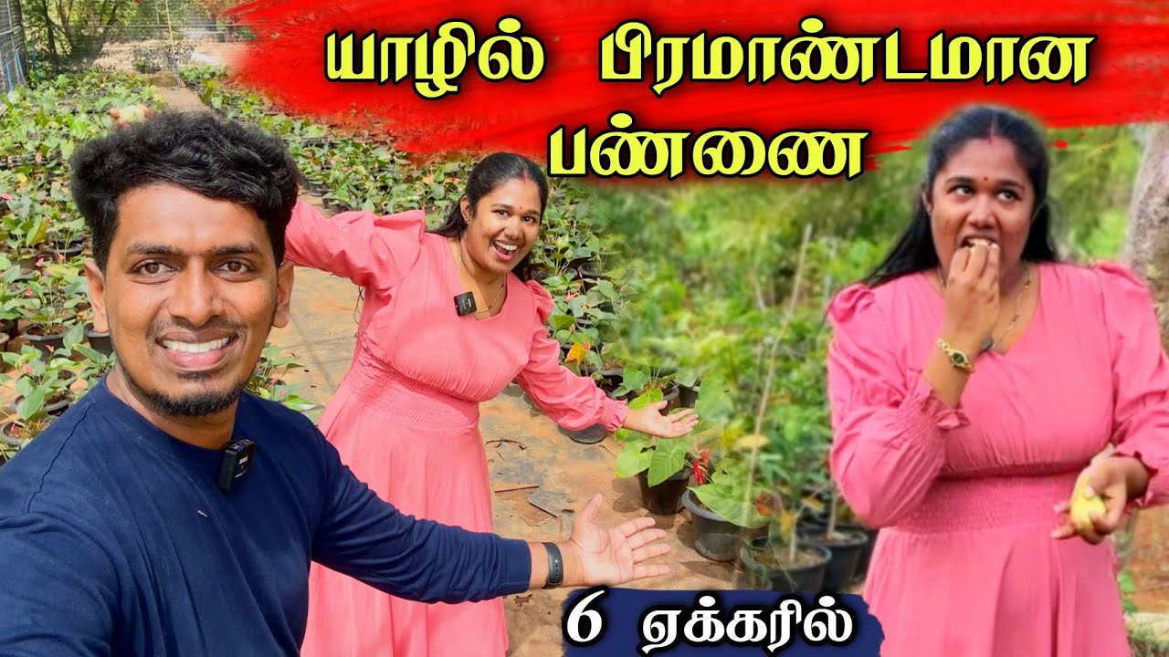 கோடி ரூபாய் இலாபம் தரும் பிரமாண்டமான 1000 வகையான மரச்செடியுடன் உருவாகிய பண்ணை😍😊 | Biggest Farm 😮