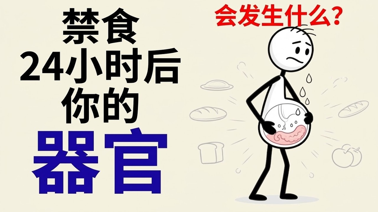 如果禁食24小时，你的器官会发生什么变化？（科学解释）