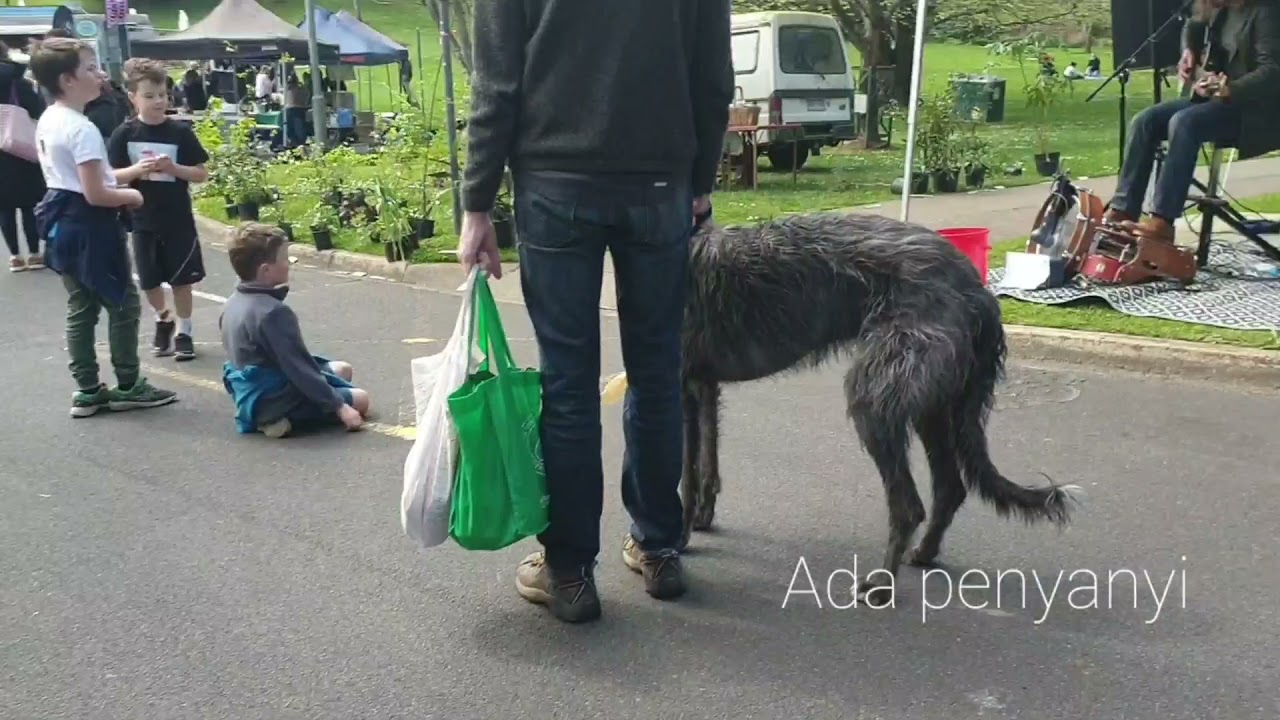75 - 21, Farmer's Market in Warragul  Vic
