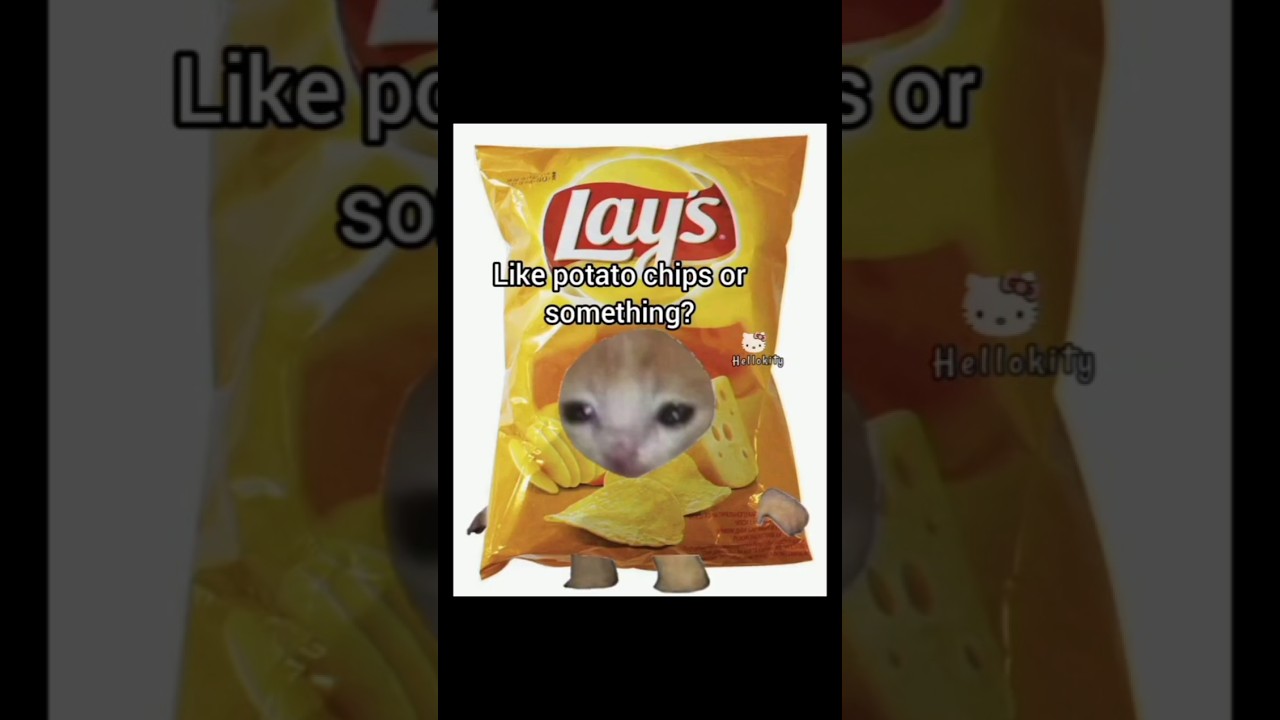 doctor told me not to eat anything fatty #cat #funny #memes #cute #funnycats #trending #viral #fyp