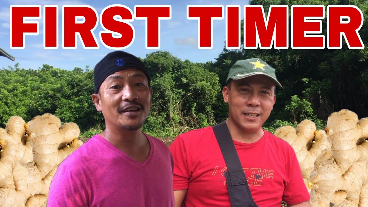 ENGINEER, SUMUBOK MAGTANIM NG GINGER! | Biyaherong Batangueno