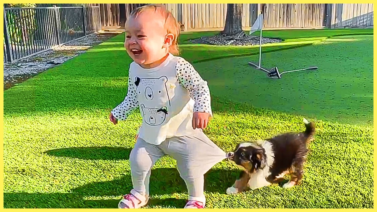 TOP Trending Baby Videos - 1 Hour of Funny Baby Video