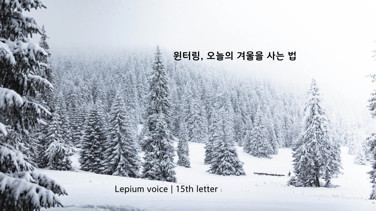 Voice letter_15th | 윈터링, 오늘의 겨울을 사는 법