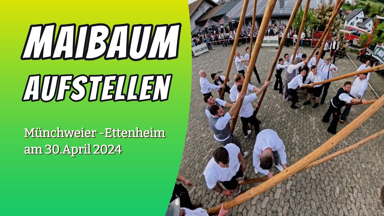 Maibaum Stellen in Münchweier 2024  #Mai #Maibaum #münchweier #ettenheim