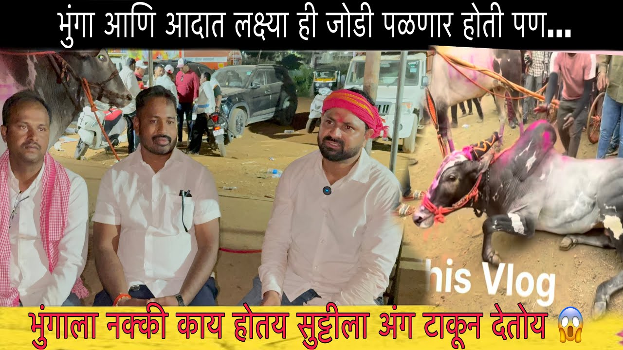 मिलिंद शेठ पाटील मुलाखत | भुंगाला नक्की काय होतय सुट्टीला अंग टाकून देतोय 😱
