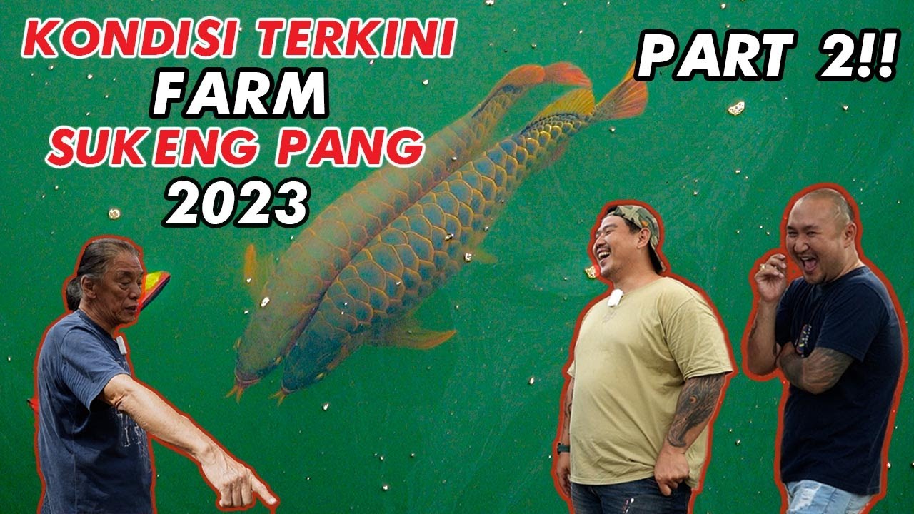 SUK ENG PANG - LEGEND AND OLDEST ARWANA FARM IN INDONESIA